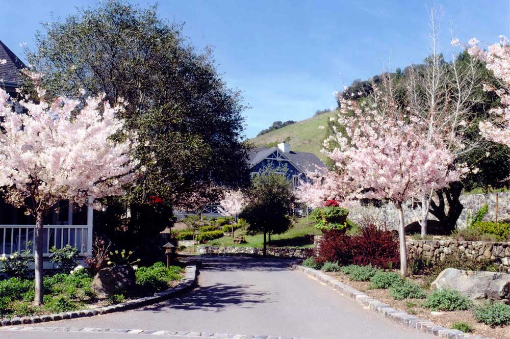 Corporate Guest Facility Marin County